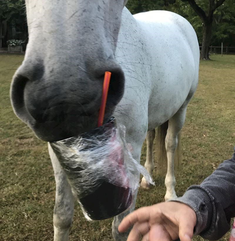 9. Ukrao mi je kavu...