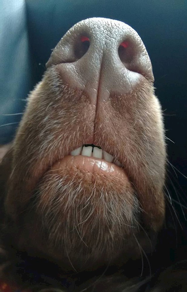 12.
