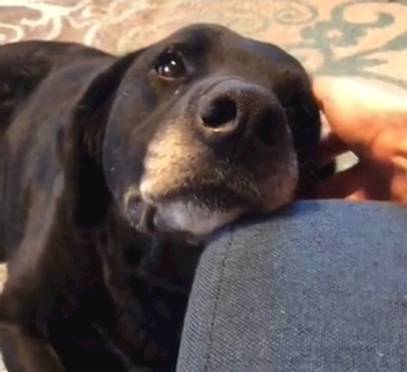 16. Moj najbolji prijatelj ima 18 godina