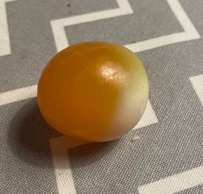 9. Kuhano jaje nakon što je nekoliko dana stajalo zaboravljeno u frižideru