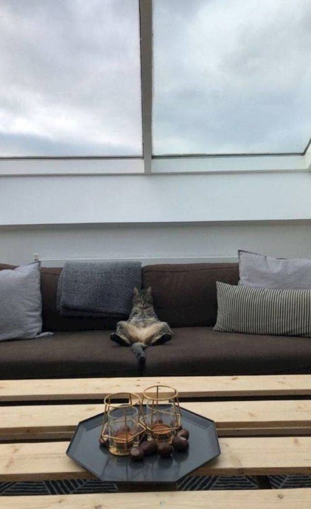 3.