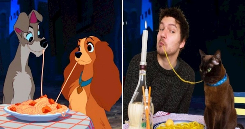 Rekreirao je scene iz poznatih filmova uz pomoć svoje mačke i oduševio cijeli internet