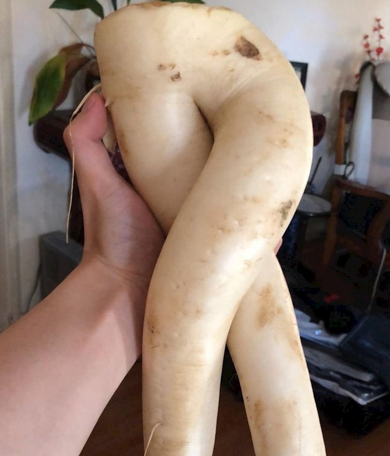 5. Savršene noge😆