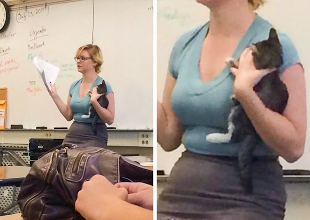 16. Ova učiteljica spasila je mačku. I došla na sat s njom. :)