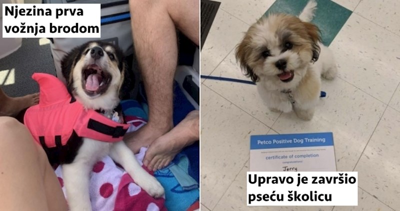 15 kućnih ljubimaca koji nemaju pojma koliko su slatki