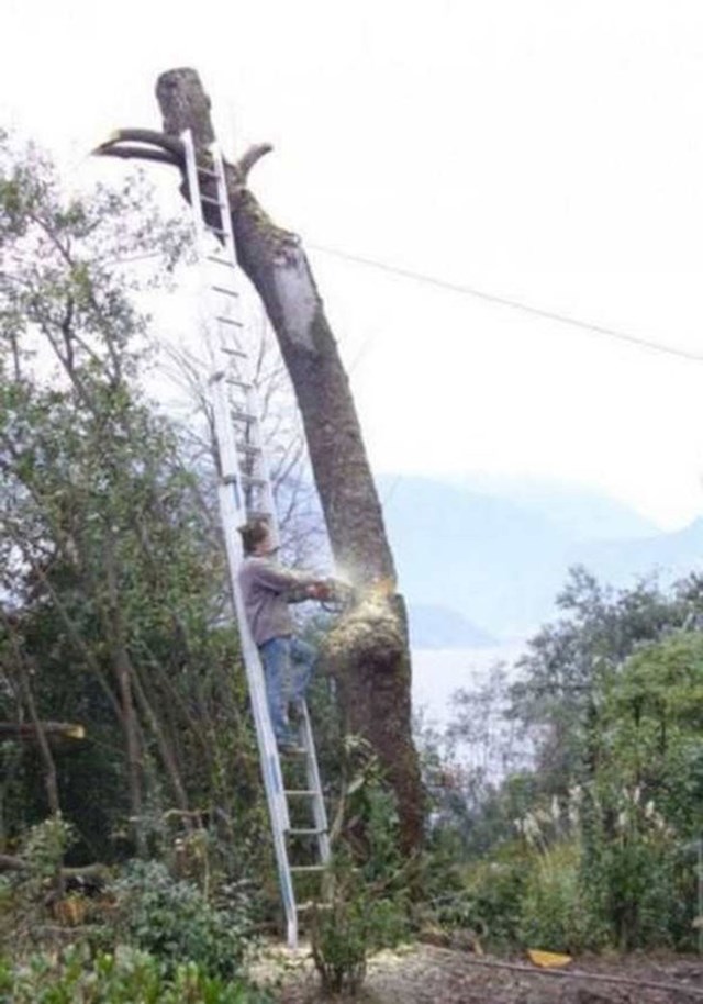 10. Ne bi li mu fotograf trebao nešto reći...