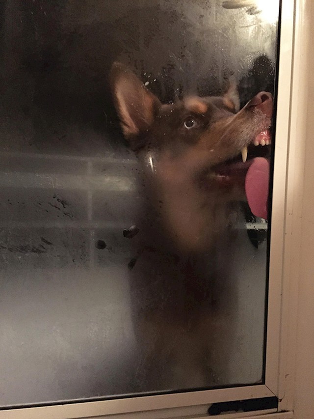 14.