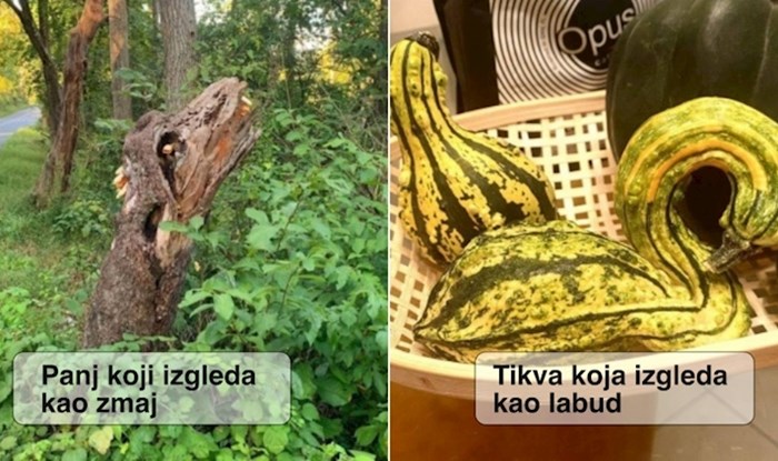 18 puta kad su stvari snimljene iz drugačije perspektive ispale kao nešto posve drugo