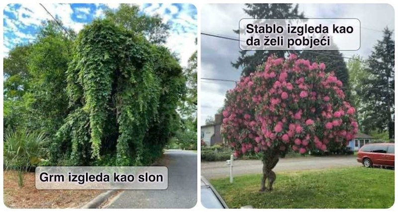 18 puta kad je priroda iznenadila ljude prizorima koje neće lako zaboraviti