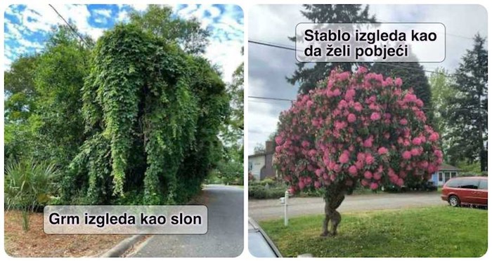 18 puta kad je priroda iznenadila ljude prizorima koje neće lako zaboraviti