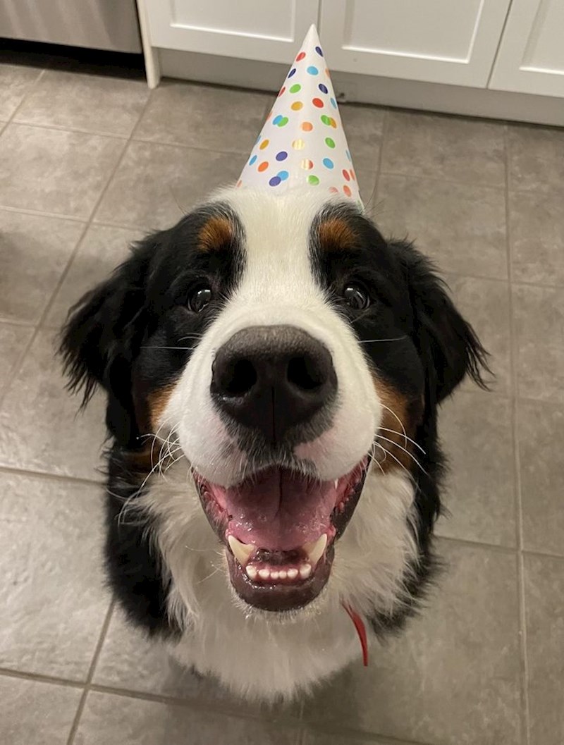 10. Sretan prvi rođendan, slatkice!🥳