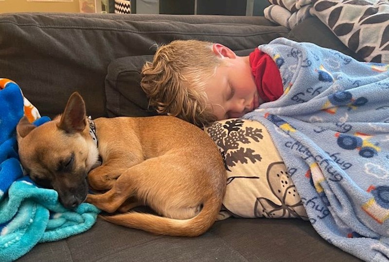 5. "Odlučili smo udomiti psića kako bi pomogao našem bolesnom sinu. Najbolja odluka ikad!"