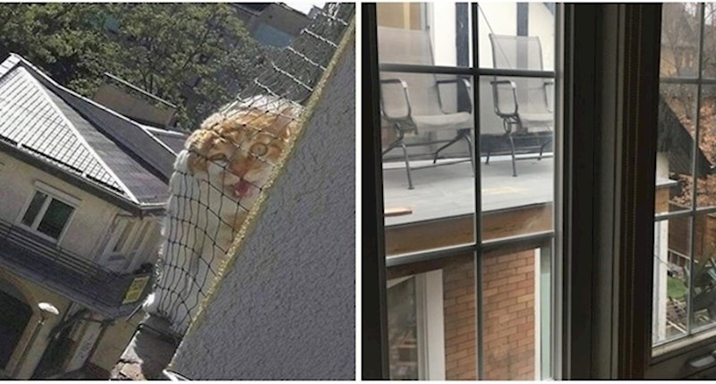 18 nesvakidašnjih susjeda uz koje život nikada nije dosadan