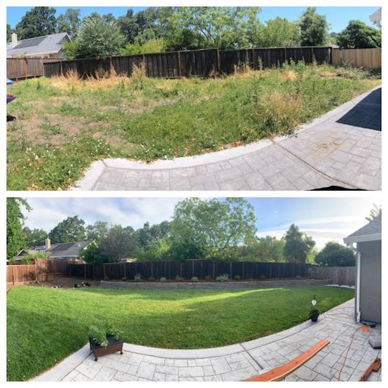 8. "Kako izgleda naš travnjak dva mjeseca nakon što smo se uselili."