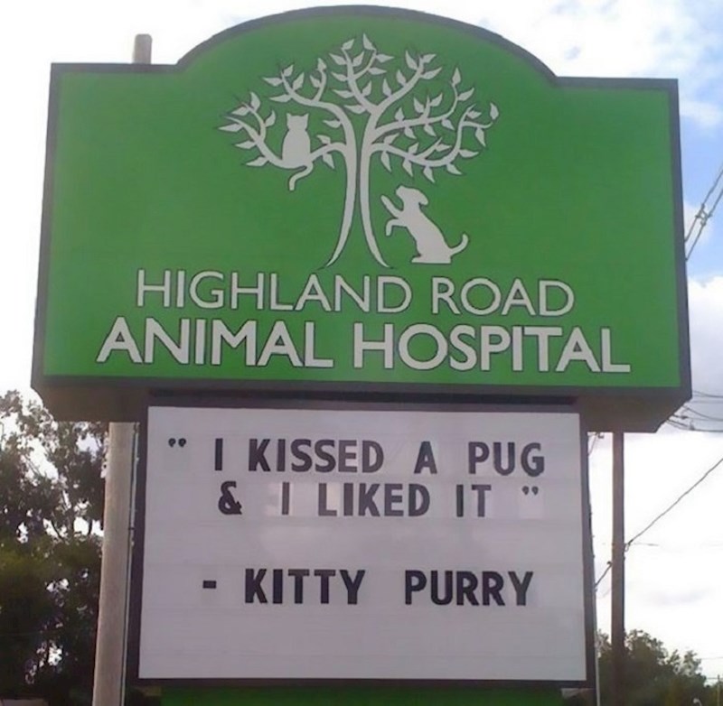 18. I veterinari se znaju našaliti.