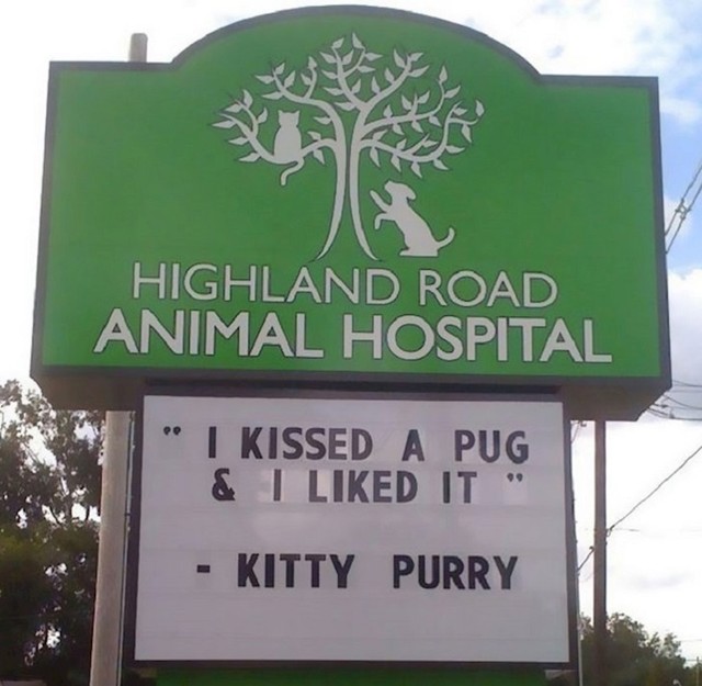 18. I veterinari se znaju našaliti.