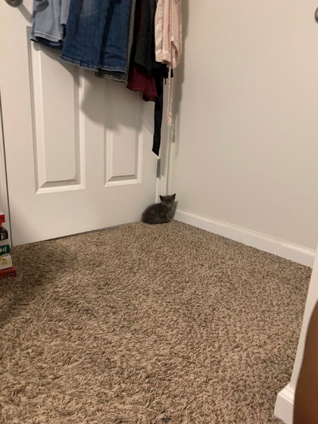 14.