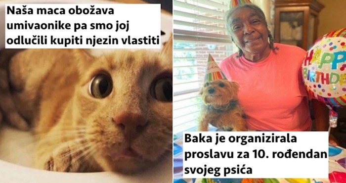 15 vlasnika koji su za svoje kućne ljubimce spremni napraviti baš sve