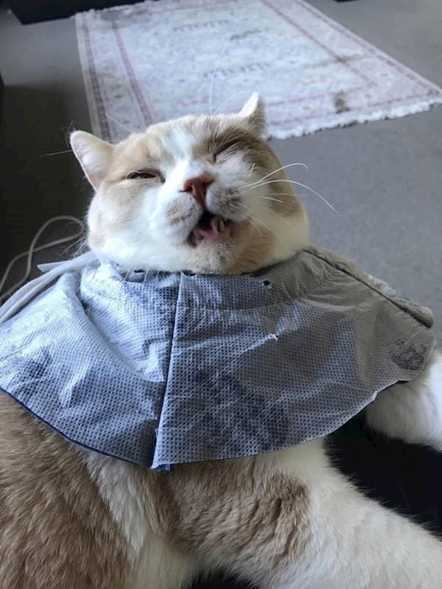 1.