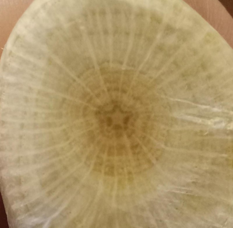 10. "Cjepanica koju sam pronašao ima zvijezdu u sebi."