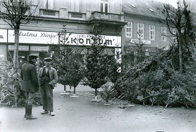 11. Prodavač jelki na Badnjak, 1934. godine.