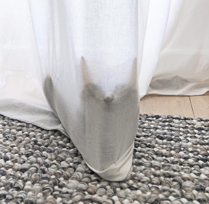 5. Upravo ste vidjeli duha