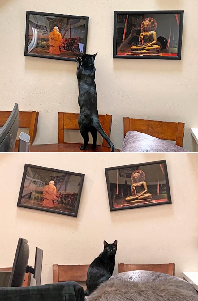 6.