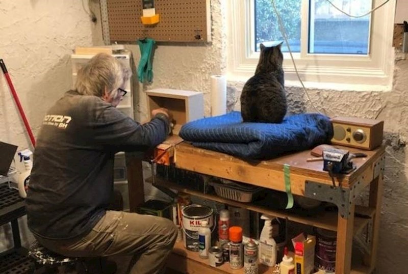 6. Rekao je da ne želi imati veze s mačkom ako ostane kod nas. Sad ima posebno mjesto u njegovoj radioni.