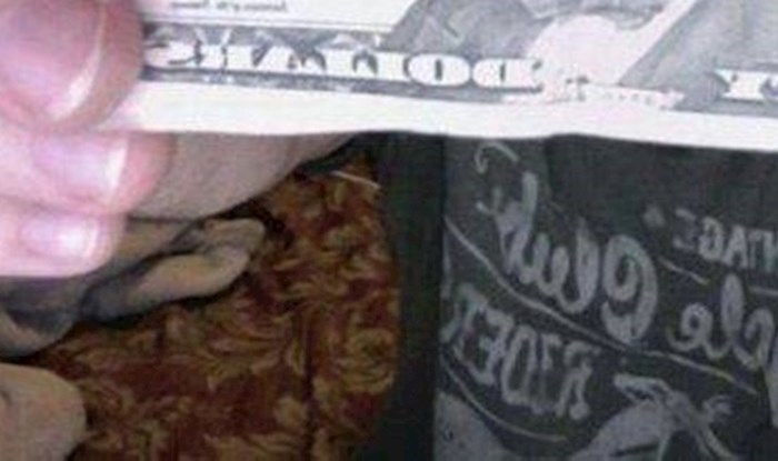 Duhoviti tip je pomoću novčanice dolara okinuo prejaku fotku