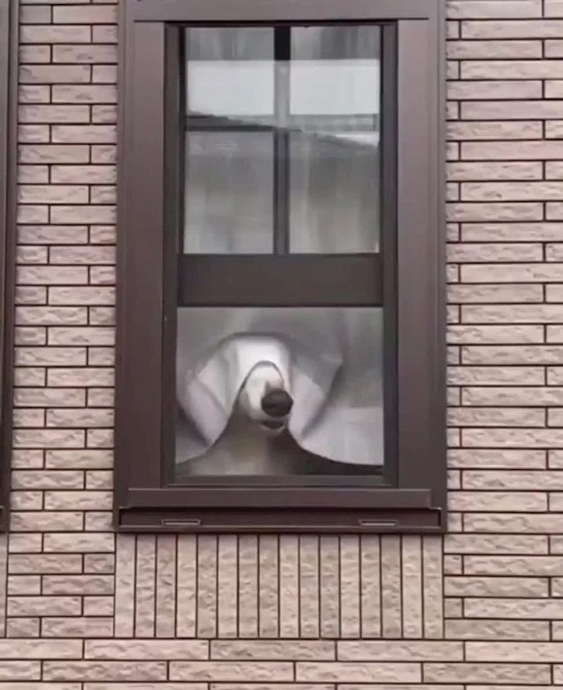 13. Sunce je toga dana bilo malo prejako...