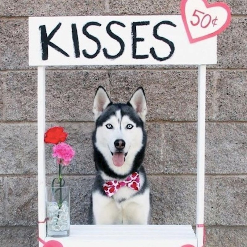 13. Obuzeo ga je duh Valentinova