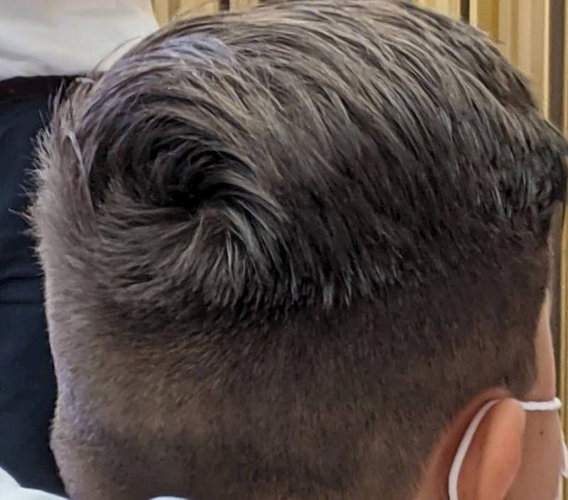"Frizer je savršeno uklopio razdjeljak mojeg nećaka u ovu frizuru."