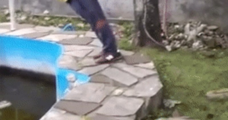 Pokušao je nešto iznimno glupo i zaslužio ono što mu se dogodilo