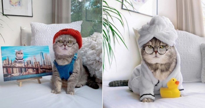 Napušteni ulični mačak Benson pronašao je novi dom i postao zvijezda na Instagramu