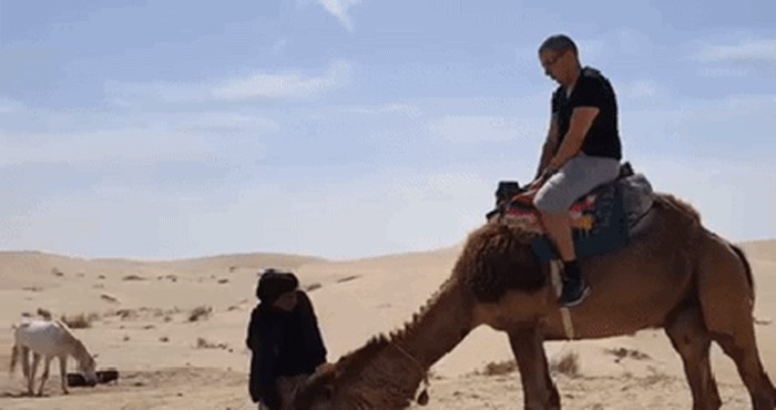 Smotani lik je jako dramatično pao s deve