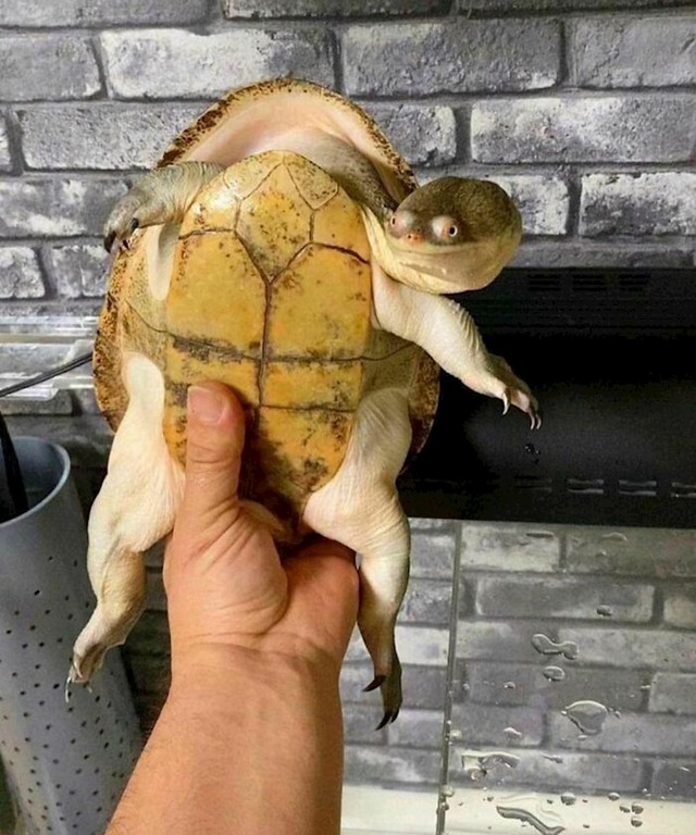 1.
