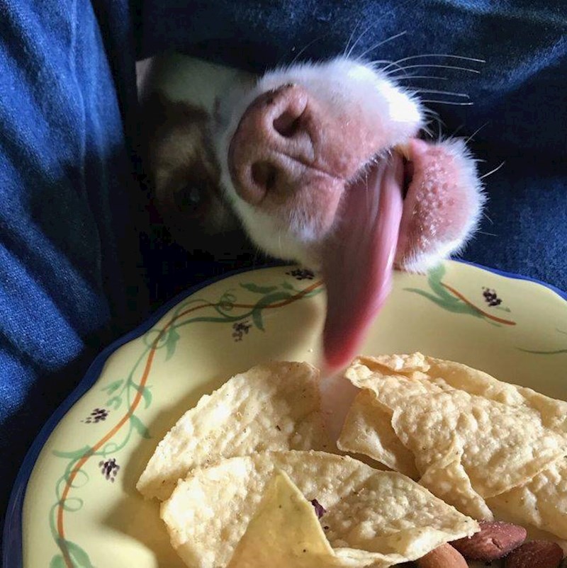 3. Kradljivac uhvaćen na djelu