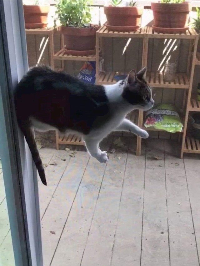 12.
