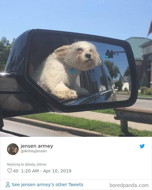 10.