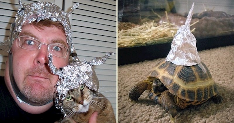 Paranoični vlasnici izrađuju životinjama aluminijske kape kako bi ih zaštitili od zračenja