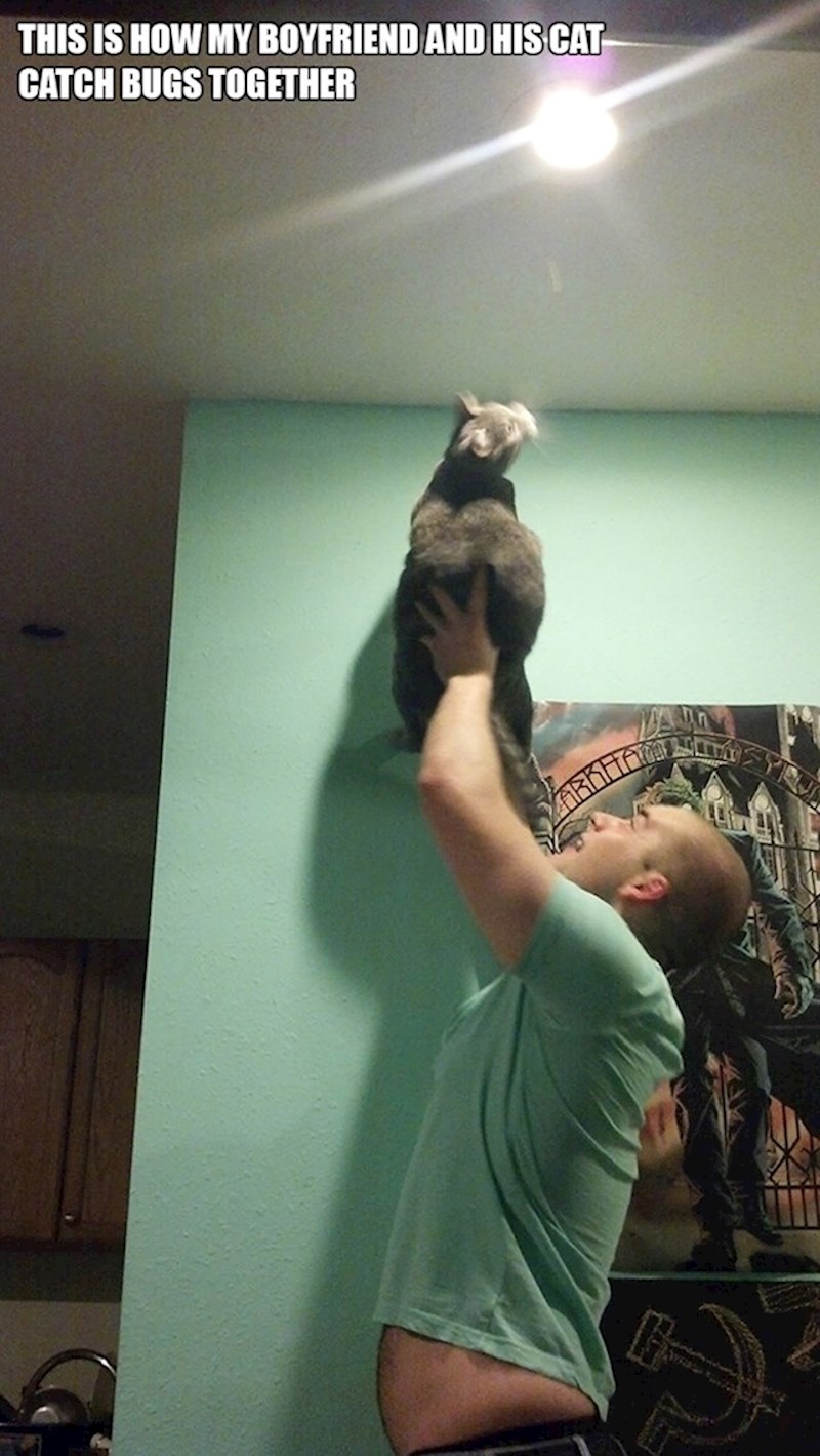 Moj dečko i mačka love kukce zajedničkim snagama.