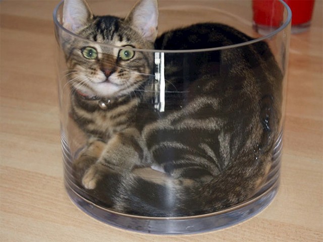 13.