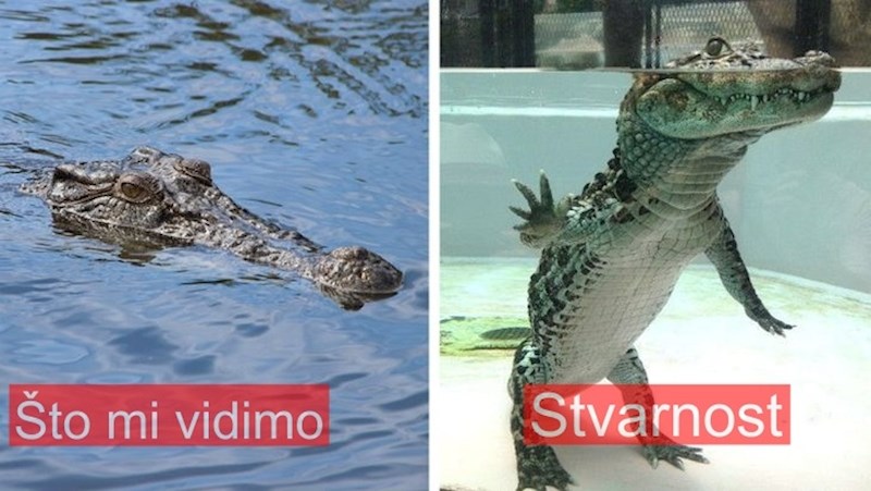 18 fotografija za ljude koji misle da su vidjeli sve