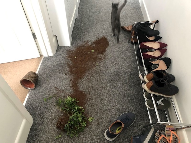 8. Uopće joj nije žao.