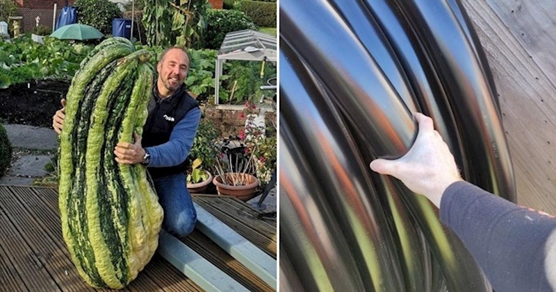 17 predmeta koji postaju golemi tek u usporedbi s nečim drugim