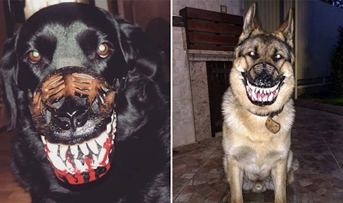 Zastrašujuće brnjice koje će i najsimpatičnijeg psa pretvoriti u čudovište