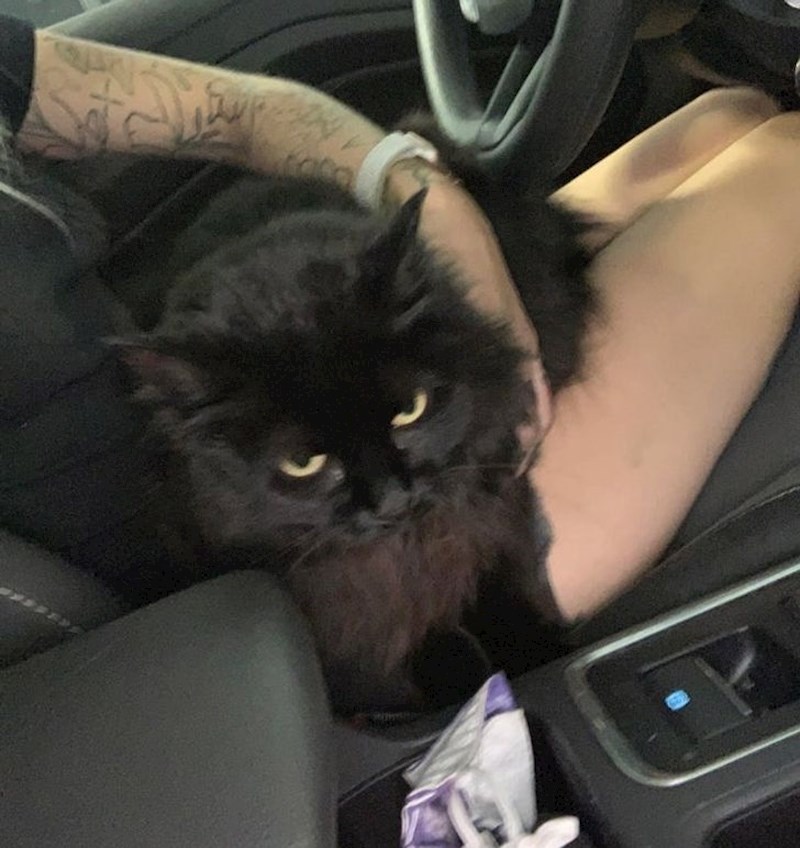 4. "Danas se selimo i kao što vidite nije sretna."