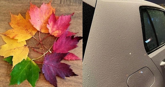 20 fotki koje će ugoditi oku svakog perfekcionista