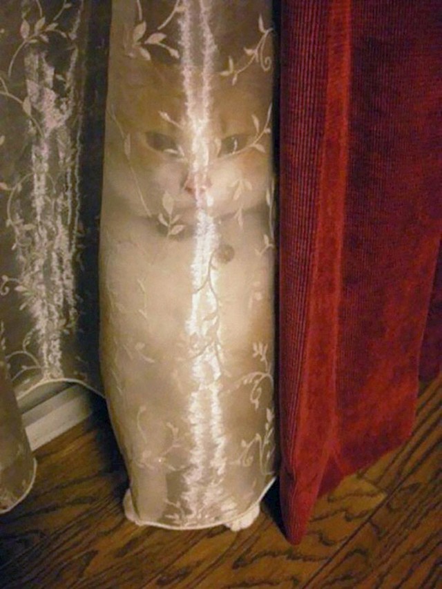 16.