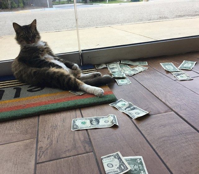 5.